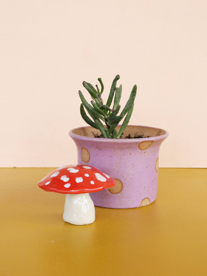 Mini Ceramic Mushroom Sculpture