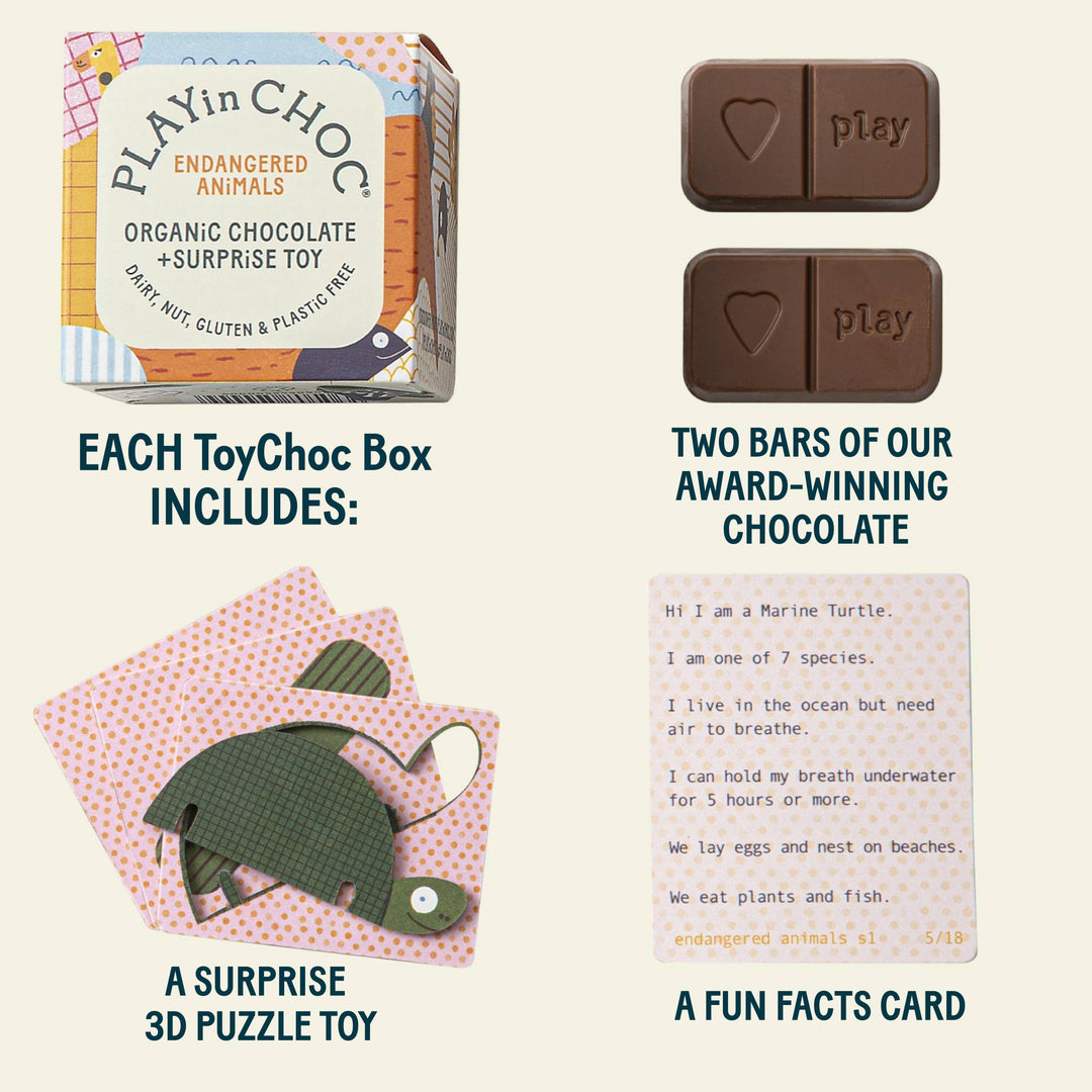 ToyChoc Box Endangered Animals