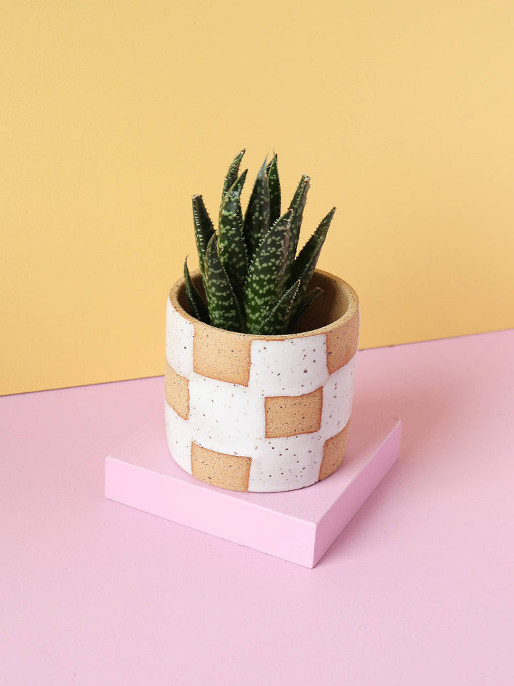 Handmade Ceramic Checkerboard Planter