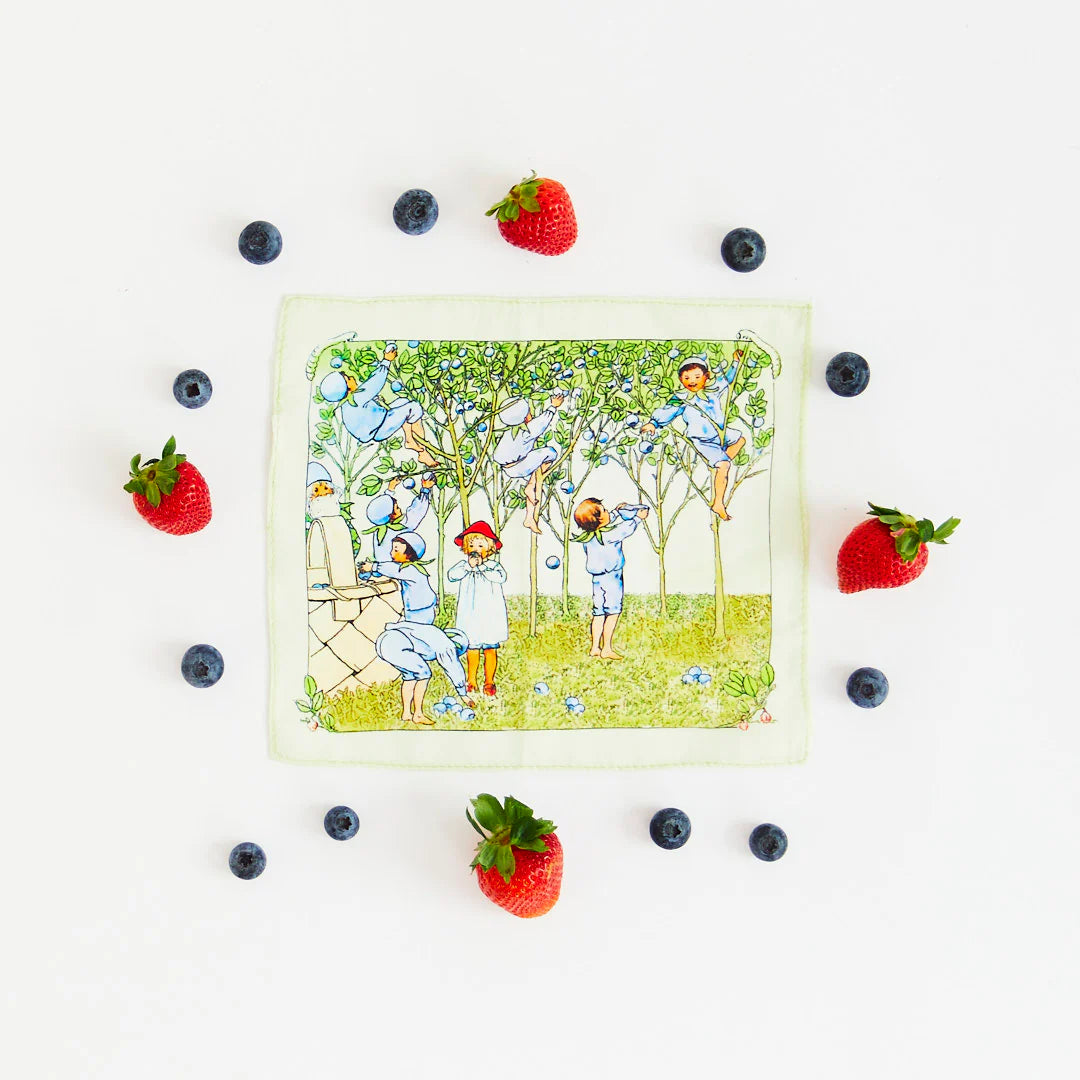 Mini Mini Blueberry Children Seek & Find