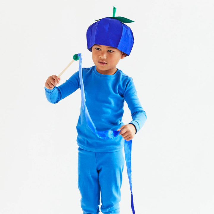 Mini Blueberry Streamer